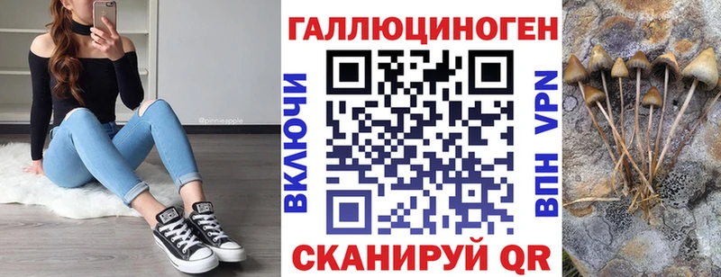 Галлюциногенные грибы Psilocybe Лянтор